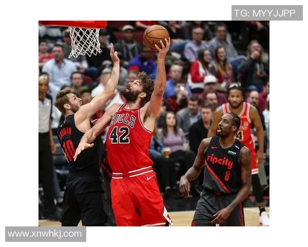 开拓者与黄蜂精彩对决集锦回顾展现篮球魅力与激情时刻